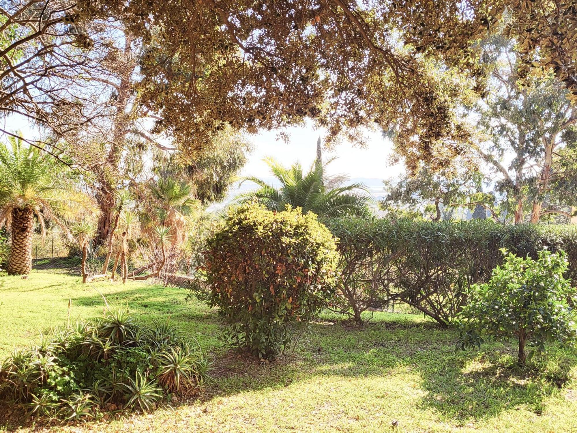 La Suite Costabella A Hyeres-Les-Palmiers Kültér fotó